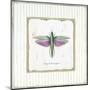 Winged Grasshopper-Jan Cooley-Mounted Art Print