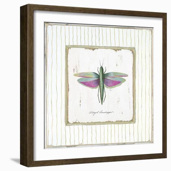 Winged Grasshopper-Jan Cooley-Framed Art Print