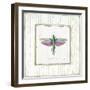 Winged Grasshopper-Jan Cooley-Framed Art Print