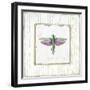 Winged Grasshopper-Jan Cooley-Framed Art Print