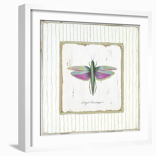 Winged Grasshopper-Jan Cooley-Framed Art Print