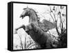 Winged Horse Statue, Mirabellgarten, Austria-Walter Bibikow-Framed Stretched Canvas