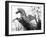 Winged Horse Statue, Mirabellgarten, Austria-Walter Bibikow-Framed Premium Photographic Print