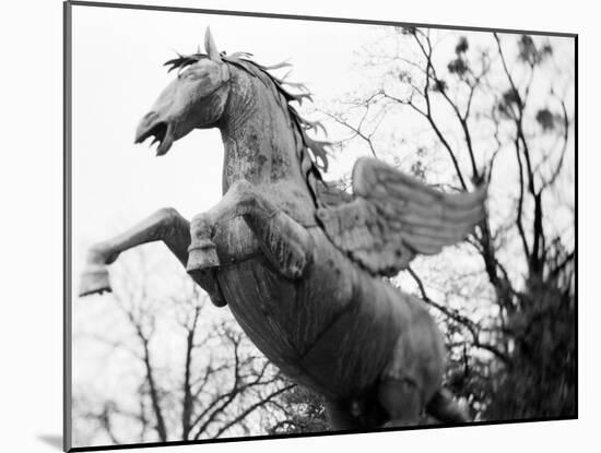 Winged Horse Statue, Mirabellgarten, Austria-Walter Bibikow-Mounted Premium Photographic Print