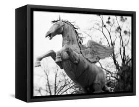 Winged Horse Statue, Mirabellgarten, Austria-Walter Bibikow-Framed Stretched Canvas