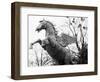 Winged Horse Statue, Mirabellgarten, Austria-Walter Bibikow-Framed Photographic Print