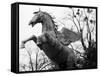 Winged Horse Statue, Mirabellgarten, Salzburg, Austria-Walter Bibikow-Framed Stretched Canvas