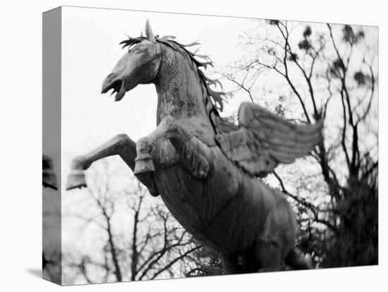 Winged Horse Statue, Mirabellgarten, Salzburg, Austria-Walter Bibikow-Stretched Canvas