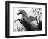 Winged Horse Statue, Mirabellgarten, Salzburg, Austria-Walter Bibikow-Framed Photographic Print