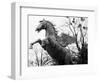 Winged Horse Statue, Mirabellgarten, Salzburg, Austria-Walter Bibikow-Framed Photographic Print