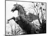 Winged Horse Statue, Mirabellgarten, Salzburg, Austria-Walter Bibikow-Mounted Photographic Print