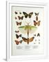 Gramercy White