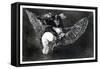 Winged Nonsense, 1819-1823-Francisco de Goya-Framed Stretched Canvas