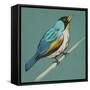 Winged Sketch II on Teal-null-Framed Stretched Canvas