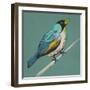 Winged Sketch II on Teal-null-Framed Art Print