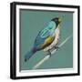 Winged Sketch II on Teal-null-Framed Art Print