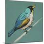 Winged Sketch II on Teal-null-Mounted Art Print