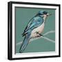 Winged Sketch IV on Teal-null-Framed Art Print