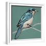 Winged Sketch IV on Teal-null-Framed Art Print