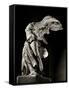 Winged Victory of Samothrace-null-Framed Stretched Canvas