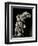 Winged Victory of Samothrace-null-Framed Premium Photographic Print