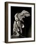 Winged Victory of Samothrace-null-Framed Photographic Print