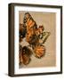 Winged Wreath I-Jennifer Parker-Framed Art Print