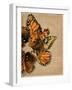 Winged Wreath I-Jennifer Parker-Framed Art Print