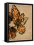 Winged Wreath I-Jennifer Parker-Framed Stretched Canvas