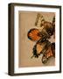 Winged Wreath II-Jennifer Parker-Framed Art Print