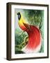 Wingless Wonder from Paradise, Illustration from Wonders of Nature, 1965-null-Framed Giclee Print