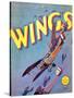 Wings, 1927-null-Stretched Canvas