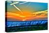 Wings and Jets Sunset-Toni Vaughan-Stretched Canvas