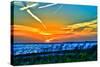 Wings and Jets Sunset-Toni Vaughan-Stretched Canvas