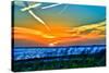 Wings and Jets Sunset-Toni Vaughan-Stretched Canvas