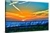 Wings and Jets Sunset-Toni Vaughan-Stretched Canvas