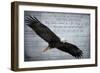 Wings as Eagles-Kimberly Allen-Framed Art Print