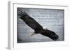 Wings as Eagles-Kimberly Allen-Framed Art Print