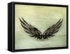 Wings Black Old-Style Vector-Nataliia Natykach-Framed Stretched Canvas