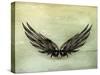 Wings Black Old-Style Vector-Nataliia Natykach-Stretched Canvas