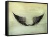 Wings Black, Old-Style Vector-Nataliia Natykach-Framed Stretched Canvas