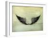 Wings Black, Old-Style Vector-Nataliia Natykach-Framed Art Print