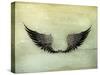 Wings Black, Old-Style Vector-Nataliia Natykach-Stretched Canvas