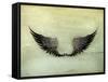 Wings Black, Old-Style Vector-Nataliia Natykach-Framed Stretched Canvas