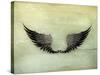 Wings Black, Old-Style Vector-Nataliia Natykach-Stretched Canvas