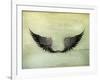 Wings Black, Old-Style Vector-Nataliia Natykach-Framed Art Print