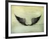 Wings Black, Old-Style Vector-Nataliia Natykach-Framed Art Print