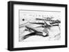 Wings Clipped by Storm-null-Framed Photographic Print