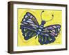 Wings Of A Butterfly-Sartoris ART-Framed Giclee Print