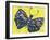 Wings Of A Butterfly-Sartoris ART-Framed Giclee Print